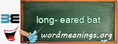 WordMeaning blackboard for long-eared bat